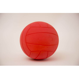 Ballon de torball handisport