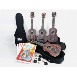 Ensemble de 4 Ukulélés