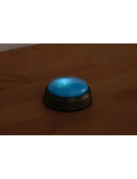 Buzzer sons et lumières - 2