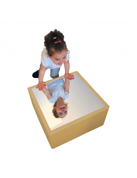 Module de motricité miroir - 1