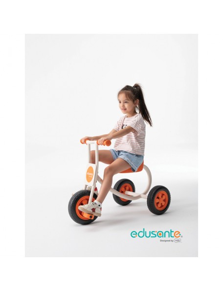 Tricycle Edusanté 4 à 7 ans - 5