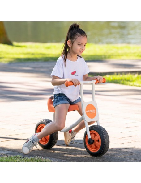 Draisienne Edusanté 3 à 6 ans - 5