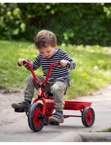 Mini-tricycle avec benne Winther - 2