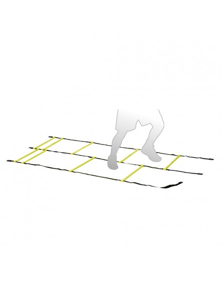 Echelle de rythme double - 1