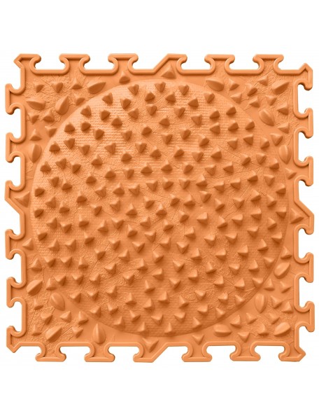 Dalles sensorielles l'explorateur - 9