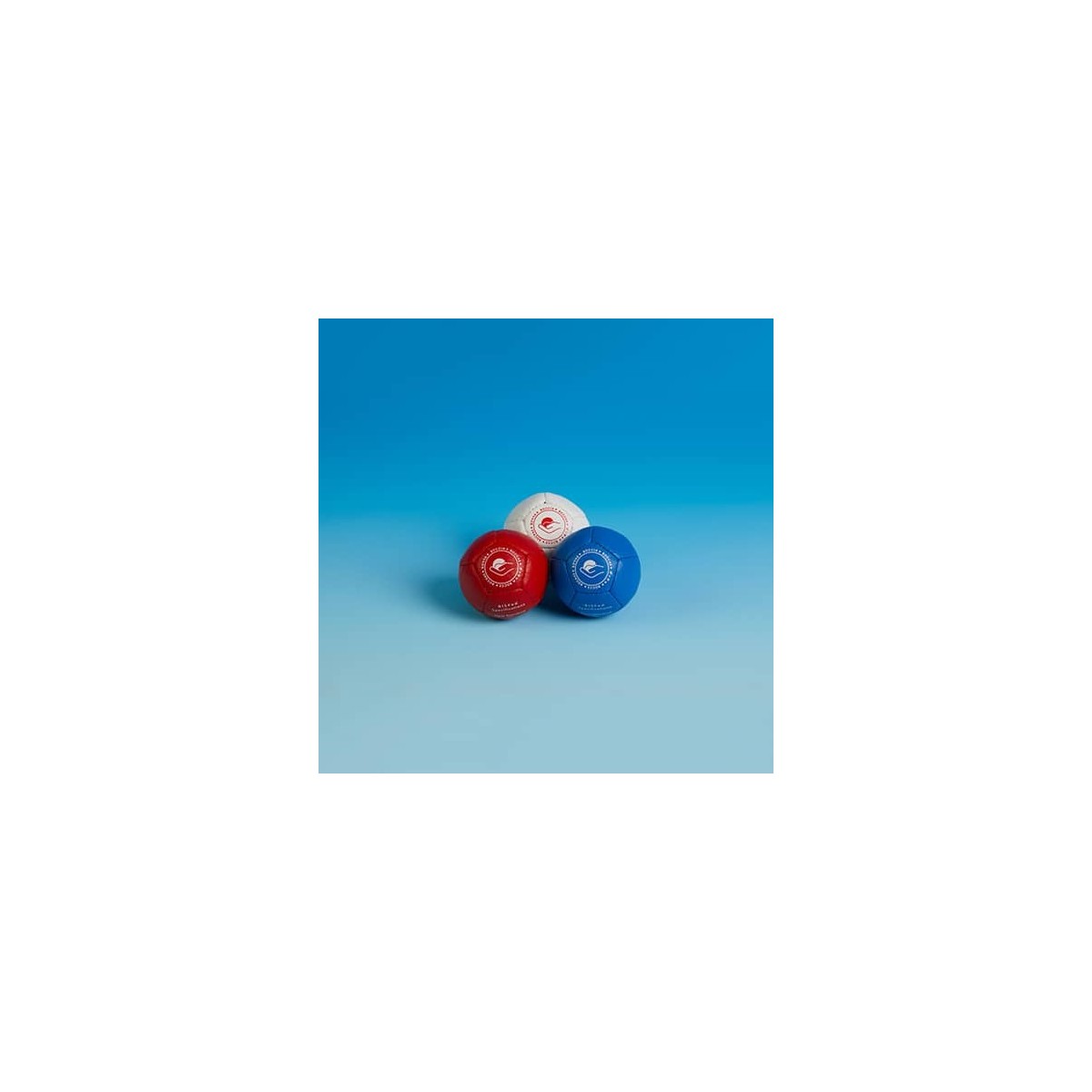 Boules Boccia de compétition dures - 6 - Boules de Boccia de compétition densité dure, composé de 13 boules de Boccia BISFed.
L