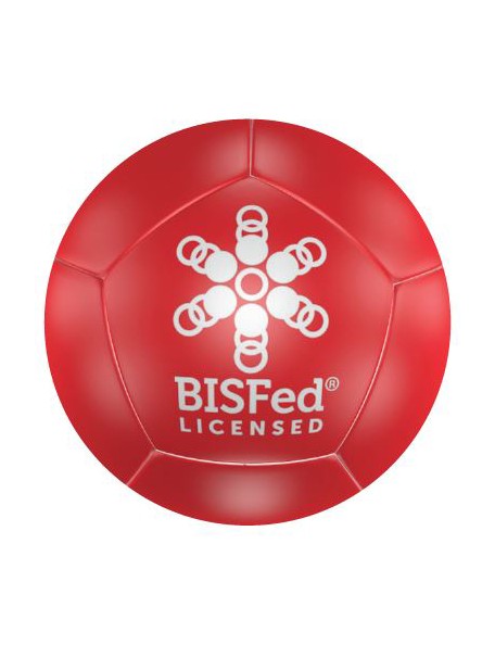 Boules Boccia de compétition dures - 1 - Boules de Boccia de compétition densité dure, composé de 13 boules de Boccia BISFed.
L