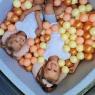Piscine bébé Miel avec 300 balles - 2 - Piscine à balles pour bébé Miel, avec 300 balles incluses.
La piscine est de forme carr